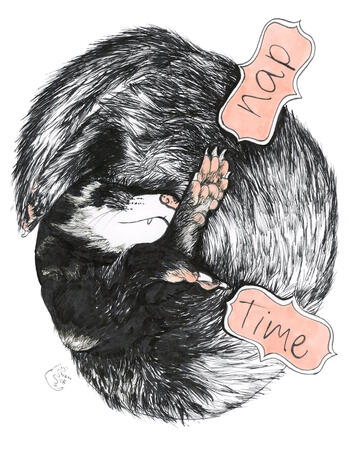 Nap Time (2018) - ink