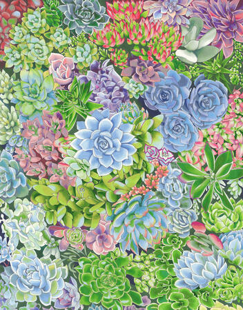 Succulents (2015) - markers