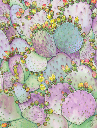 Cacti (2019) - markers